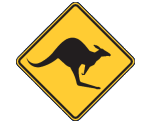 The Rainbow Coast and Albany Skippycoin ICG The Rainbow Coast and Albany Skippycoin ICG
